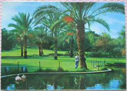 ISRAEL KIBBUTZ YAD MORDEHAI MEMORIAL GAZA STRIP ASHKELON CPM PC PICTURE PHOTO CARD POSTCARD CARTOLINA ANSICHTSKARTE - Neujahr