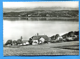 PRO211, Camp De Vaumarcus, 10493, Alpes Fribourgeoises, GF, A. Deriaz, Trou De Punaise, Circulée 1956 - Vaumarcus