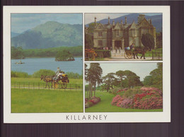 IRLANDE KILLARNEY - Kerry