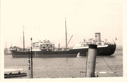DILONA * Carte Photo * Bateau Cargo Paquebot Commerce Marine Marchande ? Société Compagnie - Comercio