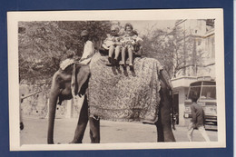 CPA éléphant Carte Photo Non Circulé Inde ? - Elefanti