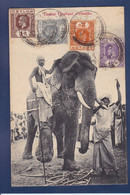 CPA éléphant Circulé Voir Dos Colombo Ceylan - Elefanten