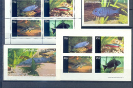 EYNHALLOW  SHEETS + BLOCK  PERFORED + IMPERFORED FISH  MNH - Pesci