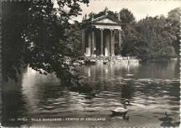 Roma (Lazio) Villa Borghese, Tempio Di Esculapio, Il Laghetto, Le Petit Lac, The Little Lake - Parken & Tuinen