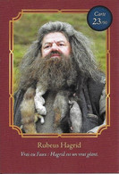 Carte Harry Potter Auchan N°23 Rubeus Hagrid - Harry Potter