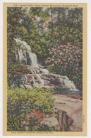 USA,TENNESSEE,LAUREL FALLS ,GREAT SMOKY MOUNTAINS NATIONAL PARK POSTCARD - Smokey Mountains