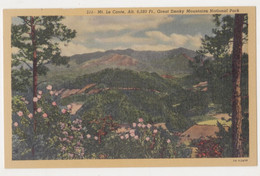 USA,TENNESSEE,MT,LE CONTE,ALT.6,593 FT,GREAT SMOKY MOUNTAINS NATIONAL PARK POSTCARD - Smokey Mountains