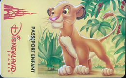 FRANCE  -  DisneyLAND PARIS  -  SIMBA  -  Enfant  -  Différent Back - Disney Passports