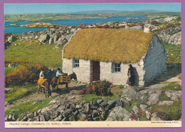 Thatched Cottage - Connemara - Galway