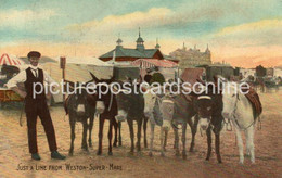 JUST A LINE FROM WESTON SUPER MARE OLD COLOUR POSTCARD DONKEYS SOMERSET - Weston-Super-Mare