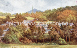 ENNISKERRY COUNTY WICKLOW OLD COLOUR POSTCARD IRELAND L&NWR OFFICIAL VIA HOLYHEAD & KINGSTOWN - Wicklow