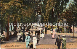 BEDFORD PROMENADE OLD COLOUR POSTCARD BEDFORDSHIRE - Bedford