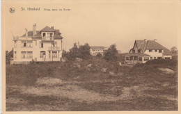 Saint Idesbald , St Idesbald ,( Coxyde , Koksijde ), Villas Dans Les Dunes - Koksijde