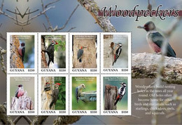 Guyana 2020 Birds WOODPECKER SHEETLET   I202110 - Guyana (1966-...)
