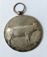 Ancienne Oude Medaille Old Medal Prijskamp Temse Temsche Oost-Vlaanderen Jaarmarkt Koe Vache Cow Kuhe Fair Foire - Sonstige