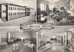 AK - Italien - Loreto - Istituto Immacolata Concezione - 1955 - Ancona