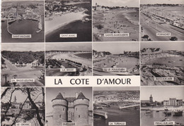 France Carte Postale La Cote D'Amour Multi Vues - Poitou-Charentes