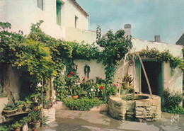 France Carte Postale Cour Fleurie D'une Coquette Maison Charentaise - Poitou-Charentes