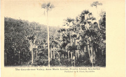 Carte POSTALE  Ancienne  De  SEYCHELLES - Coco De Mer Valley, Anse Marie Louise - Seychelles