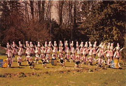 72-MAMERS- MAJORETTES DE MAMERS AFFILIÉES A LA F.F.T.P - Mamers