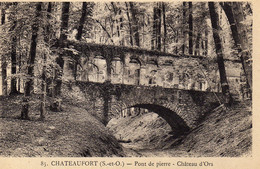 DPT 78  CHATEAUFORT Pont De Pierre  Chateau D'Ors - Autres Communes