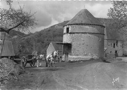 72-SAINT-LEONARD-DES-BOIS- LA FERME DE L'INTHE XVIe S - Saint Leonard Des Bois