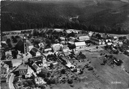 67-WANGENBOURG- VUE AERIENNE - Sonstige & Ohne Zuordnung