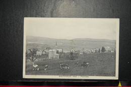 CP, 01, HAUTEVILLE Panorama VACHES - Hauteville-Lompnes