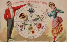 Belle Illustrée / LANGAGE DES FLEURS ; Tres Jolie Et Peu Courante ; - Fleurs
