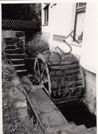 BORSBEKE Molen / Moulin - Originele Foto Jaren '70  - S'Heerenmeesen (Q373) - Herzele