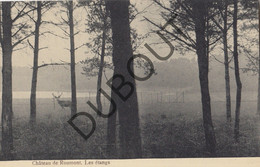Postkaart - Carte Postale - OCHAMPS/Libin - Château De Roumont-les étangs (G242) - Libramont-Chevigny