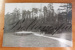 Uccle  Parc De WolVendael : Théâtre De Verdure Carte Photo RPPC Fotokaart - Guerre 1939-45