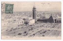 TUNIS Panorama Pris De Dar El Bey , Circulé En 1906 - Tunisia
