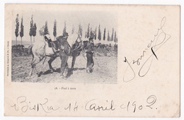 CPA N° 58 . Pied à Terre, Biskra Constantine Circulé En 1902, Soldats Et Chevaux. - Biskra