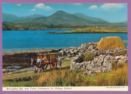 Bertraghboy Bay Near Carna - Connemara - Galway