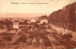 Brioude * La Route De Lamothe Et Vue Sur Les Jardins * Panorama - Brioude