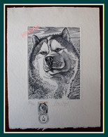 TAAF Gravure Lithographie / Velin 33 X 25 Cm Chien De Traîneau N° 381/900 Signée Béquet FDC N° 265 2000 - Non Dentelés, épreuves & Variétés