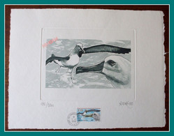 TAAF Gravure Lithographie / Velin 33 X 25 Cm Albatros N° 196/1200 Signée Andréotto FDC N° 229 1998 - Imperforates, Proofs & Errors