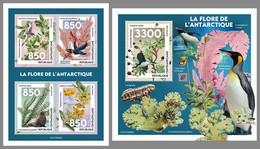 CENTRALAFRICA 2021 MNH Antarctic Flora Antarktische Pflanzen Flore De Antarctique M/S+S/S - OFFICIAL ISSUE - DHQ2144 - Other