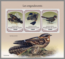 CHAD 2021 MNH Nightjars Nachtschwalben Engoulevents M/S - OFFICIAL ISSUE - DHQ2144 - Rondini