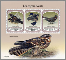 CHAD 2021 MNH Nightjars Nachtschwalben Engoulevents M/S - OFFICIAL ISSUE - DHQ2144 - Zwaluwen