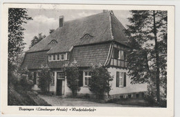 Lüneburger Heide, Bispingen, Wacholderhof - Lüneburger Heide