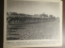 MALI   Caravane De Sel TOMBOUCTOU      Documentation Photographique  1950 1960 - Mali