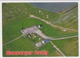 AK 06350 GERMANY - Hamburger Hallig - Halligen