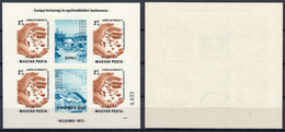 UNGHERIA 1973 FOGLIETTO HELSINKI CONFERENZA EUROPEA SULLA SICUREZZA E LA COOPERAZIONE Ft. 2,50 - MNH ** - MICHEL BF99B - Commemorative Sheets