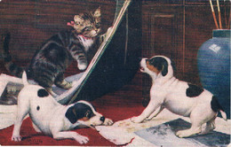 Chat Et 2 Chiens- Cat And Dogs  -poesje Met Strik En Honden -katze Hunde - Katzen