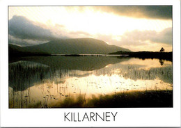 (1 B 1) Ireland - Killarney (lake) - Kerry
