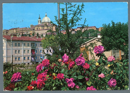 °°° Cartolina - Loreto Panorama Viaggiata ( F ) °°° - Ancona