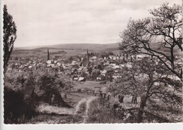 ALLEMAGNE(BIRKENFELD) ARBRE - Birkenfeld (Nahe)