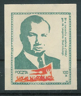 Poland SOLIDARITY (S045): Leopold Okulicki (green) - Viñetas Solidarnosc